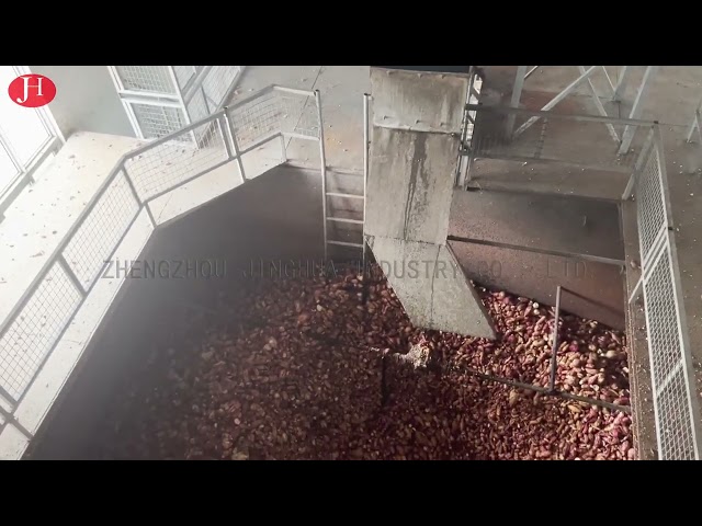 CHINA SS que limpam o amido de batata doce que faz a máquina 25t/H 18.5kw para venda