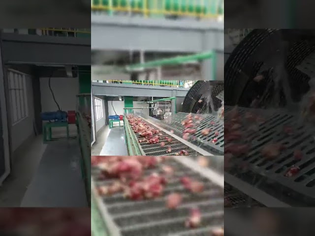 CHINA Máquina elétrica da limpeza da pá do amido de mandioca do equipamento de produção do álcool para venda