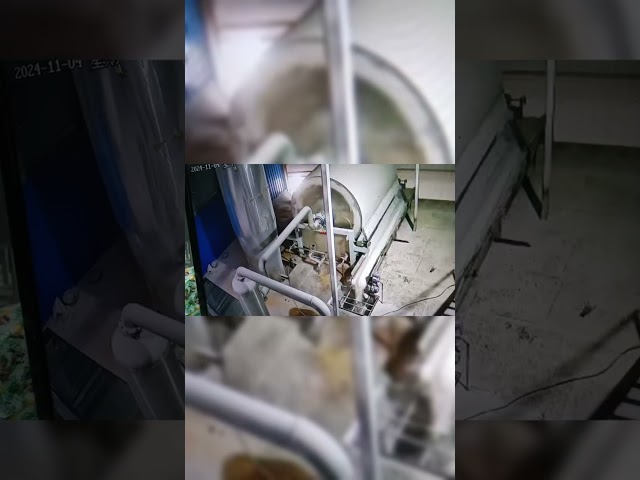 CHINA lavagem de limpeza da batata 30Kw doce fazendo a equipamento a arruela giratória para venda