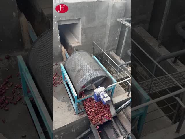 CHINA Processador de Amido de Batata Doce com Controle PLC Fornecendo Limpeza, Moagem e Embalagem para Aplicações Industriais para venda