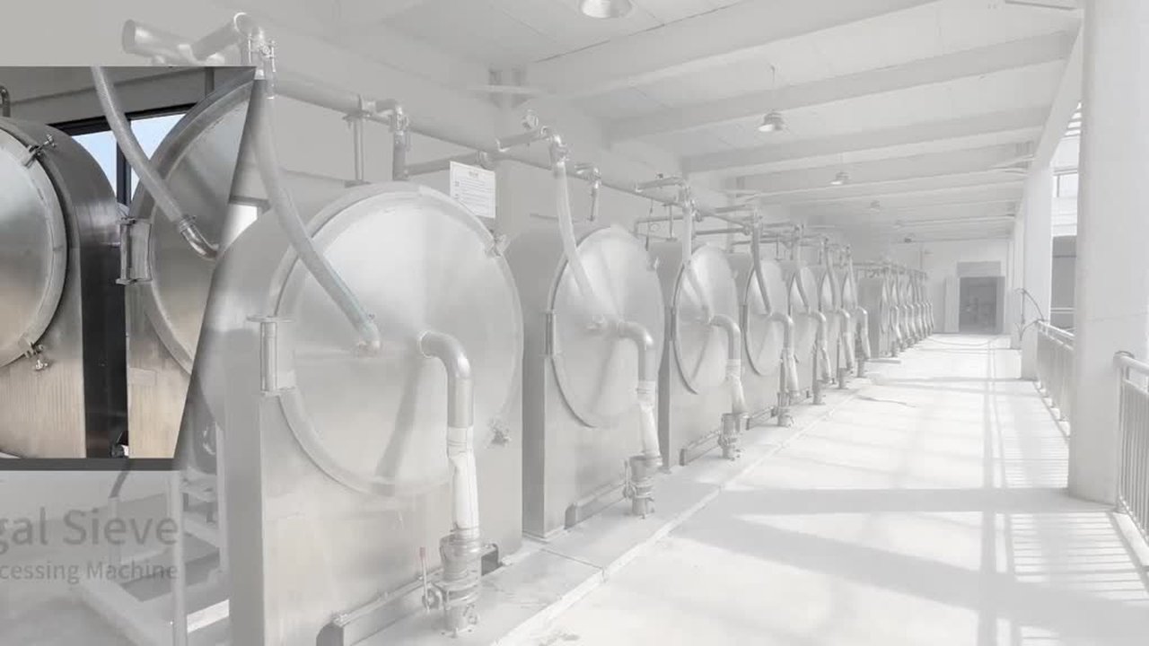 CHINA Equipamento secado automático da peneira do centrifugador da pasta do amido de mandioca da batata para venda